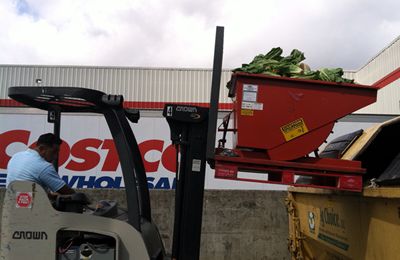 Image of Wharton Costco employee Claudio Alvarez dumps spoiled produce into an organics recycling bin.  The produce will be turned into compost.