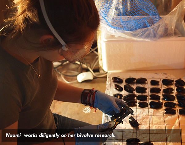 Image of Naomi  works diligently on her bivalve research.
