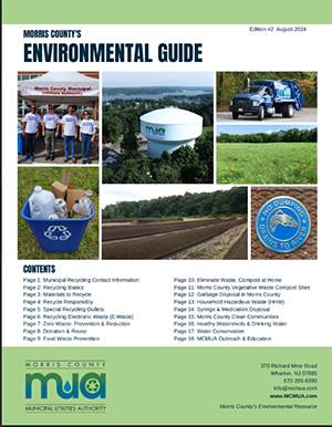 image of cover to 2018 Environmental Guide