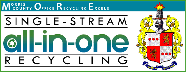 image of Morris County Office Recycling Excels Banner