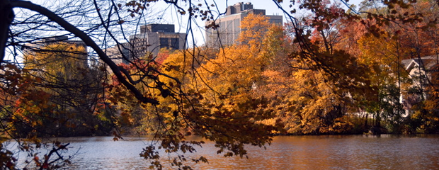 Image of Morristown from the Lake